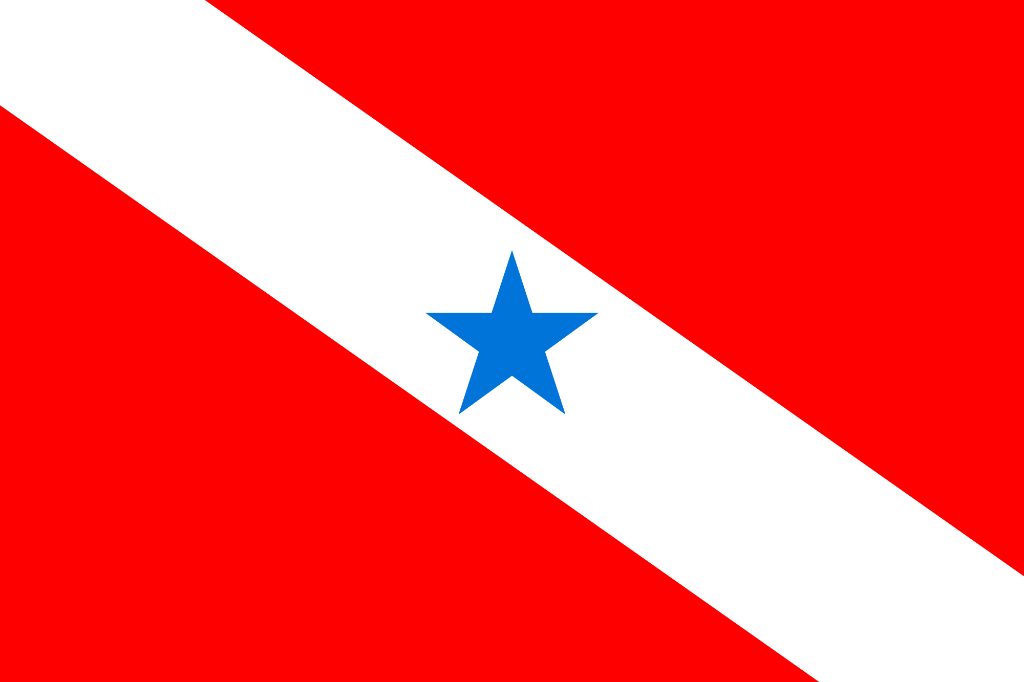 Bandeira do Pará