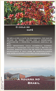 ciclo_do_cafe_t.jpg