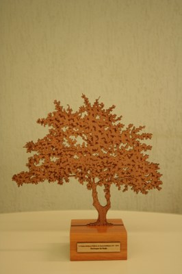 Prêmio A3P do MMA.jpeg