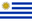 125pxFlag_of_Uruguay.svg.png