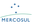 copy_of_125pxFlag_of_Mercosur_Portuguese.svg.png