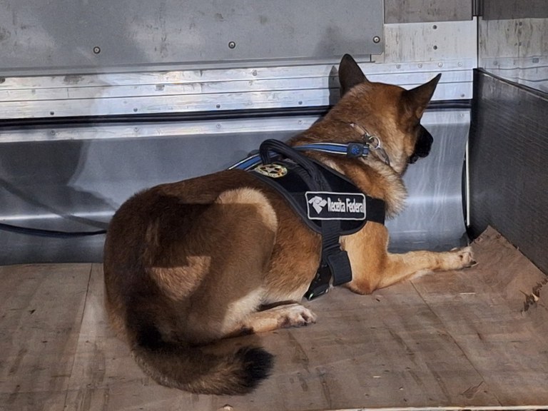 Receita Federal - Foto 05.jpg