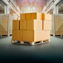 Regimes Aduaneiros Especiais