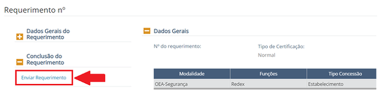 Enviar Requerimento à Análise