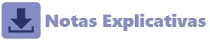 Notas Explicativas