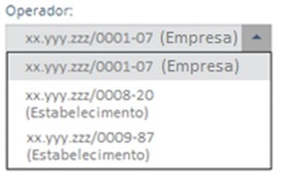 Segmentação do Perfil do Operador: empresa (matriz) ou estabelecimentos