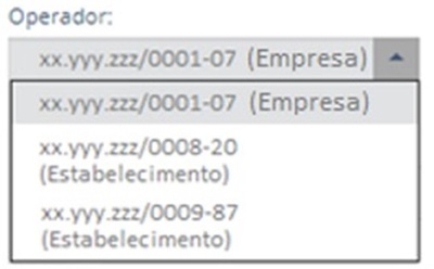 Segmentação do Perfil do Operador: empresa (matriz) ou estabelecimentos