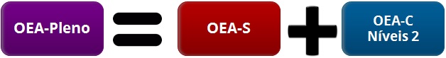 OEA-Pleno.jpg