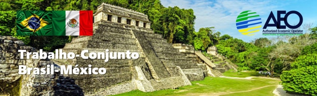 Trabalho Conjunto Brasil - Mexico.jpg