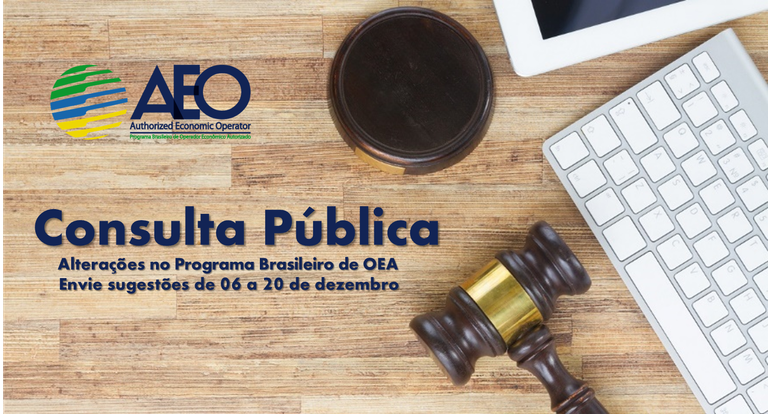 Consulta Pública OEA.png