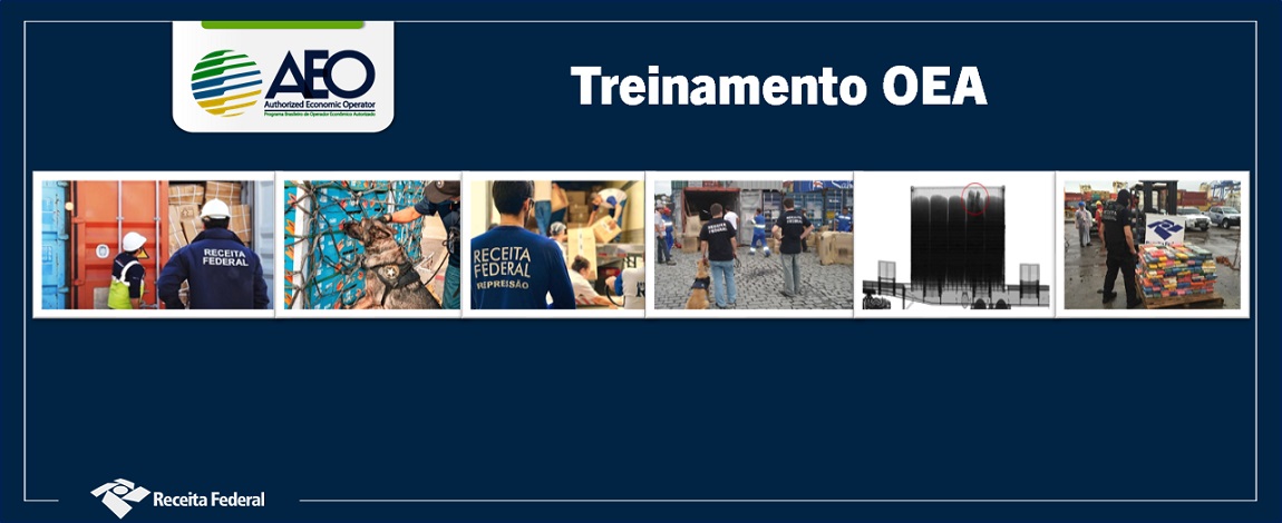 Violações cargas OEA.jpg