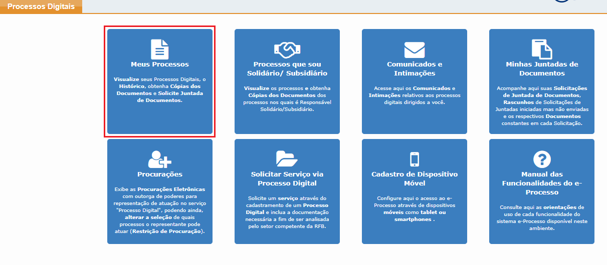 meus processos