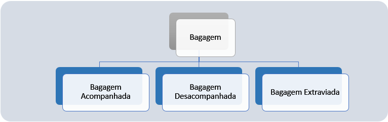 Classificação da Bagagem