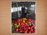 apreensão Manaus.jfif