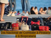 Dia nacional de combate à pirataria..jfif