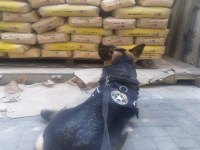 Foto santos 2207.jfif