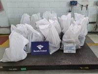 Receita Federal localiza 519 kg de cocaína em duas cargas de exportação no Porto de Santos