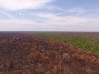 Drone guarulhos 1.jfif