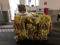 Apreensão Sao Sebastião 0610.jfif