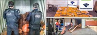 Receita Federal apreende 340kg de cocaína dentro de toras de madeira no Porto de Itaguaí/RJ