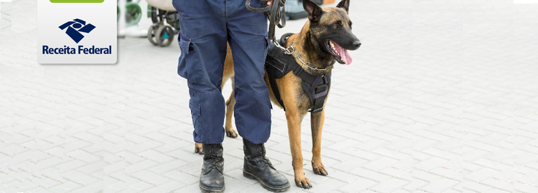 portaria n84 (1).png