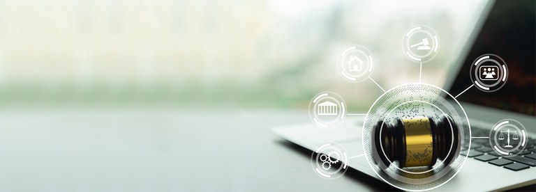 Sistema de Leilões da RFB.jpg