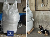 Receita Federal faz apreensão de 853 kg de cocaína no Porto de Santos