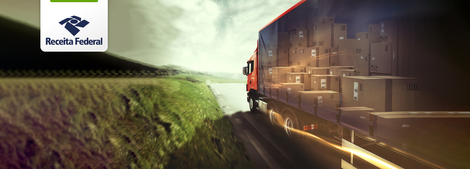 Movimentação de Cargas Foz - Site_Prancheta 1.jpg