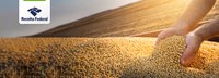 Operação “Grão em Grão”: Receita Federal em Minas Gerais promove a autorregularização de produtores rurais