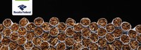 Receita Federal destrói mais de 1 milhão de maços de cigarros