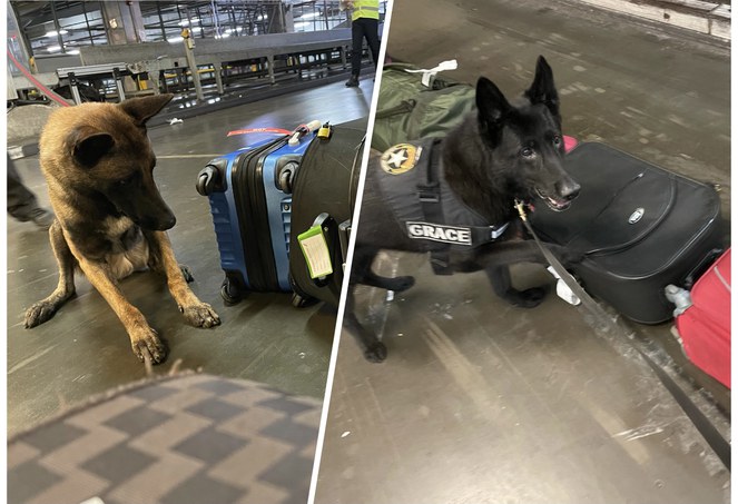 Receita Federal - 2.jpg