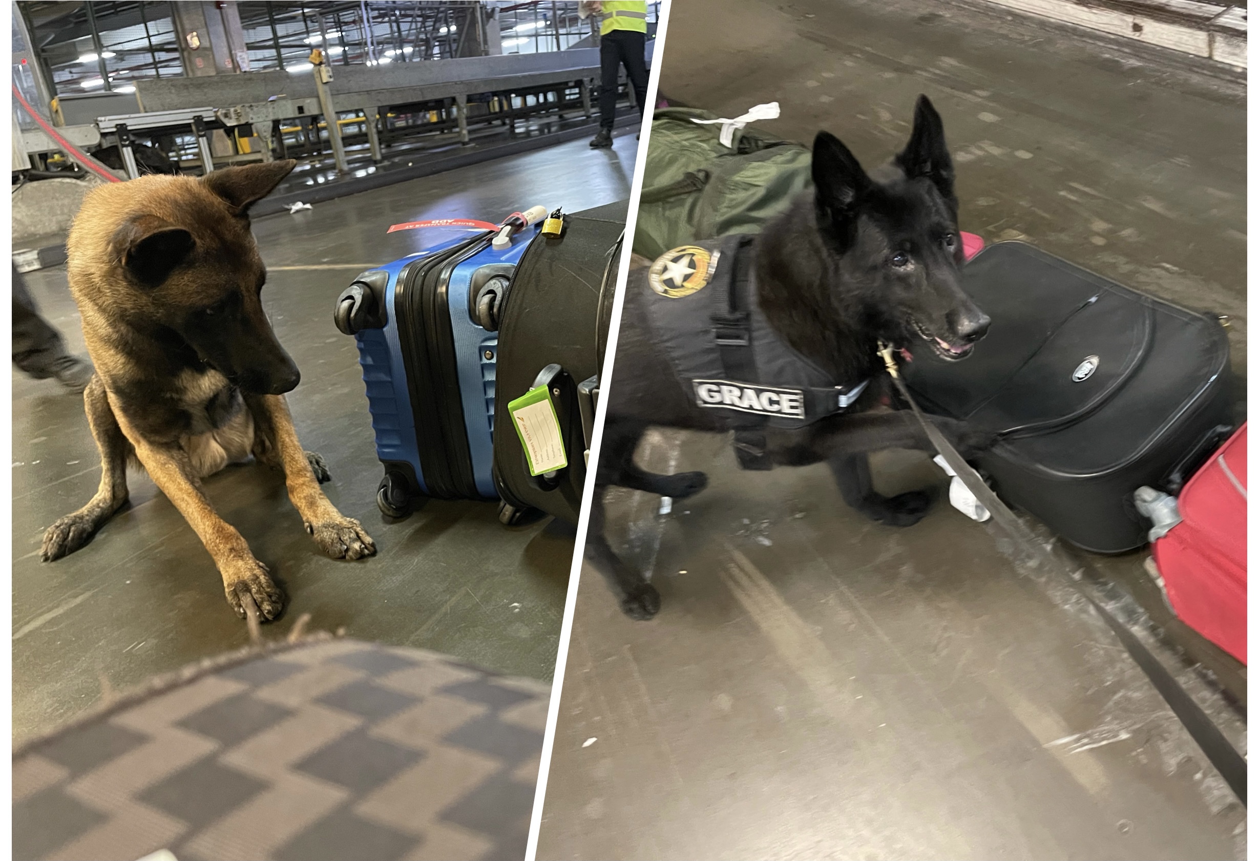 Receita Federal - 2.jpg