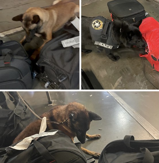 Receita Federal - Apreensão de cocaína - 7.jpg