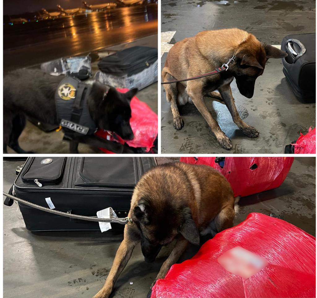 Receita Federal - 7.jpg