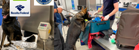 Receita Federal apreende 7kg de drogas com passageira liberiana no Aeroporto Internacional de Brasília
