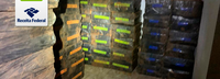 Receita Federal apreende 95.500 maços de cigarros contrabandeados em São Miguel do Iguaçu/PR