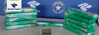 Receita Federal apreende maconha e arma de fogo na Ponte Internacional da Amizade