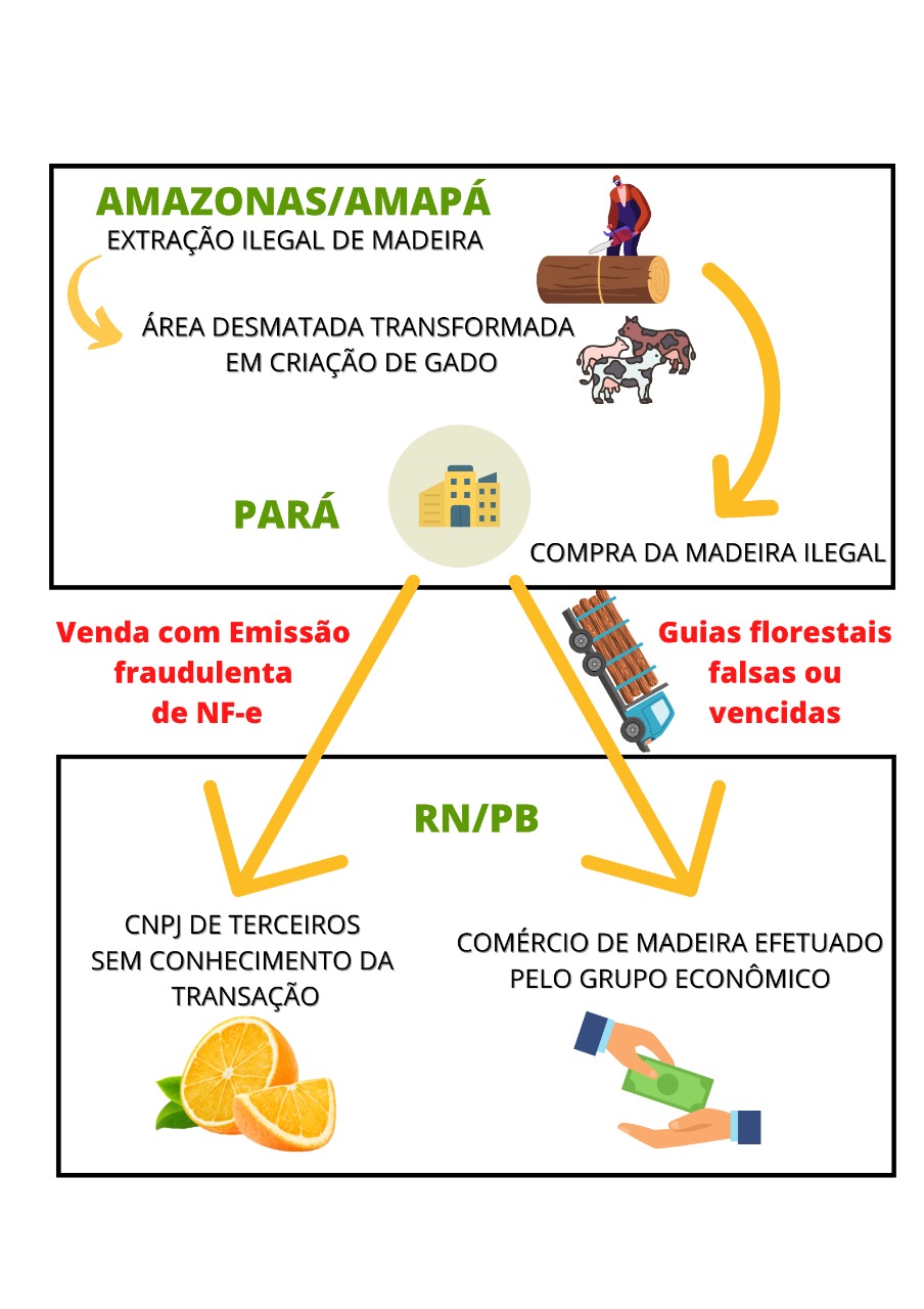 Infográfico