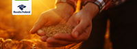 Operação DeclaraGrãos RS promove conformidade tributária de produtores rurais