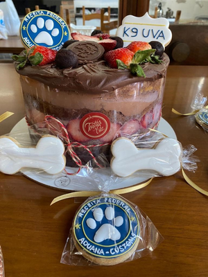 Aposentadoria da k9 Uva