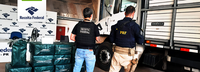 Receita Federal e PRF apreendem mais de meia tonelada de cocaína em rodovia próxima a Maringá/PR