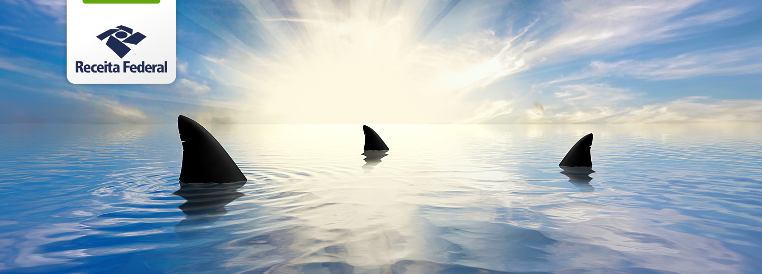 Apreensão Barbatanas Tubarão Ceará Capa