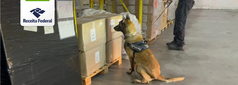 Apreensão drogas CE