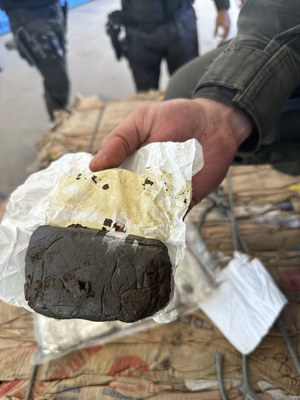 Apreensão Mundo Novo (Fig. 1)