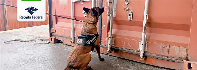 Apreensão de cocaína