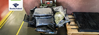 Receita Federal apreende cerca de 110 kg de drogas em remessas internacionais no Aeroporto de Viracopos