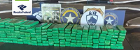 Receita Federal apreende 227,3 kg de maconha escondidos em fundo falso de van paraguaia