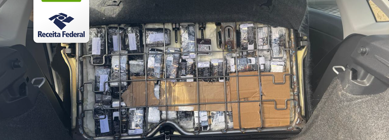 Apreensão de anabolizantes