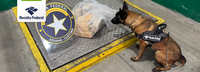 Receita Federal retém 17 kg de cocaína no Porto de Itapoá/SC