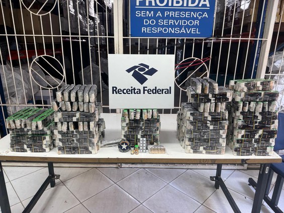 Anabolizantes apreendidos.